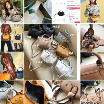 Le Pliage Cuir leather bag (請Remark自己寫低顏色)