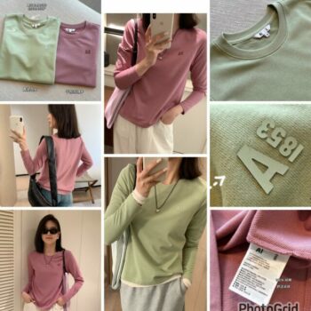 Aigle logo top