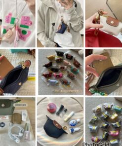新色 𝐋𝐨𝐧𝐠𝐜𝐡𝐚𝐦𝐩 mini coin bag (Rmk col)