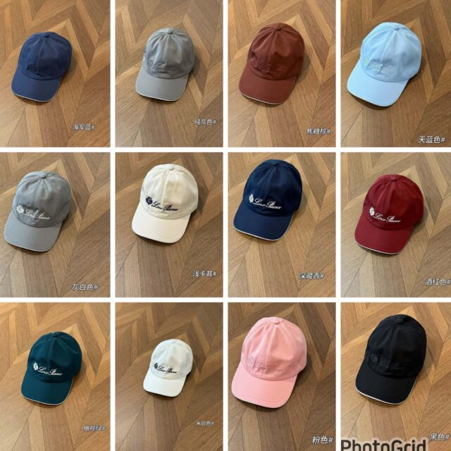 Lora piana water resistant cap - Image 2